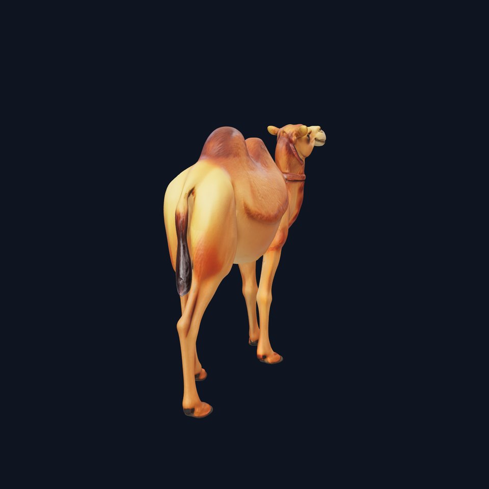 D Camel Model Pack with Detailed Fur Texture